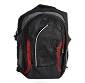 Vaio red Laptop Backpack